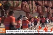  莱比锡球迷冲突导致比赛延期  